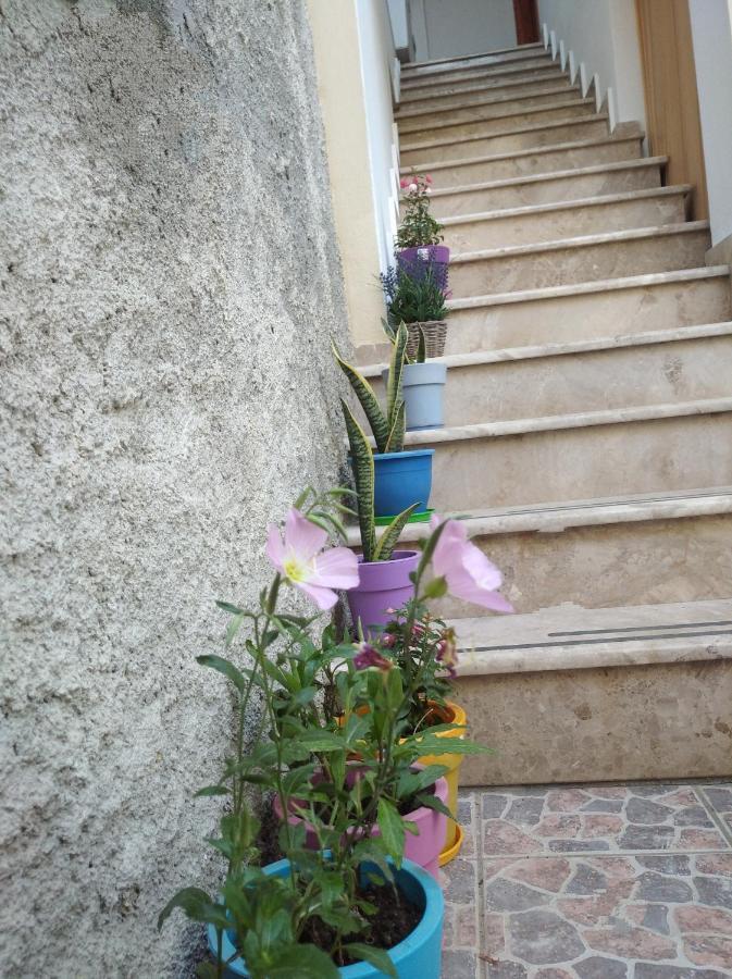 Villa Vasili Skiathos by Eksteriør billede
